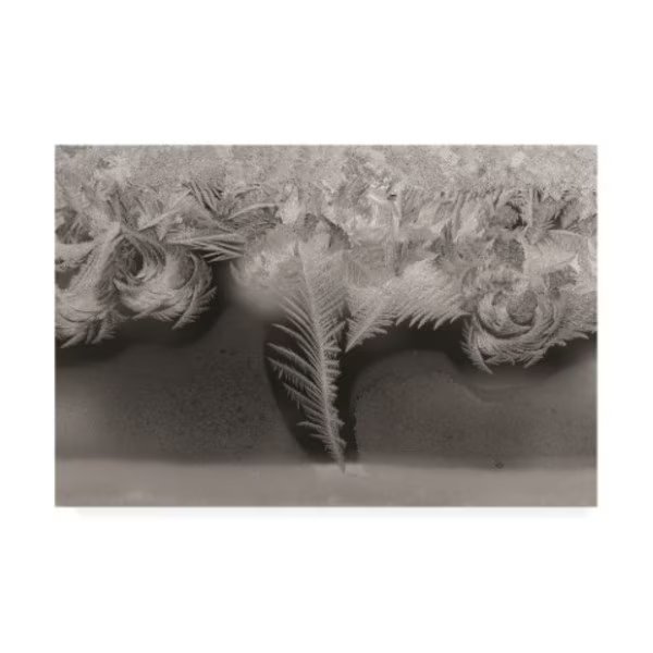 Kurt Shaffer Photographs 'Natures art, ice crystals on my window' Canvas Art, 16x24, Trademark Fine Art, Mfr#: KS01522-C1624GG